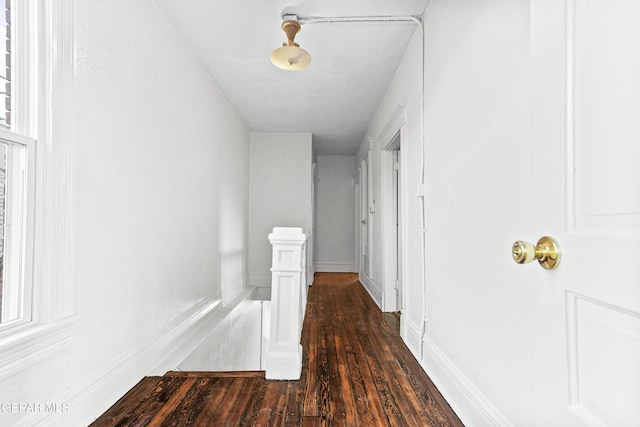 corridor with dark hardwood / wood-style floors