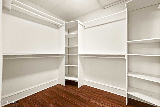 walk in closet featuring dark hardwood / wood-style floors