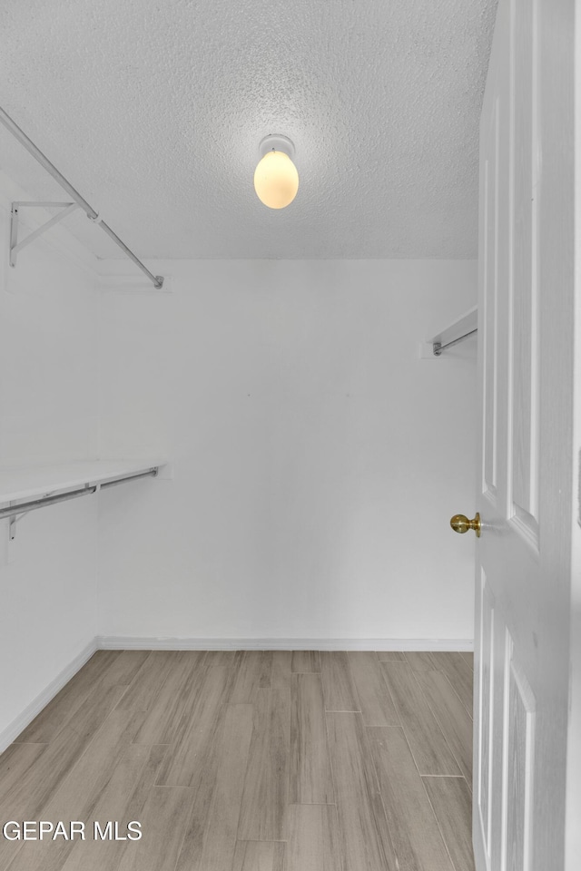 spacious closet with light hardwood / wood-style floors