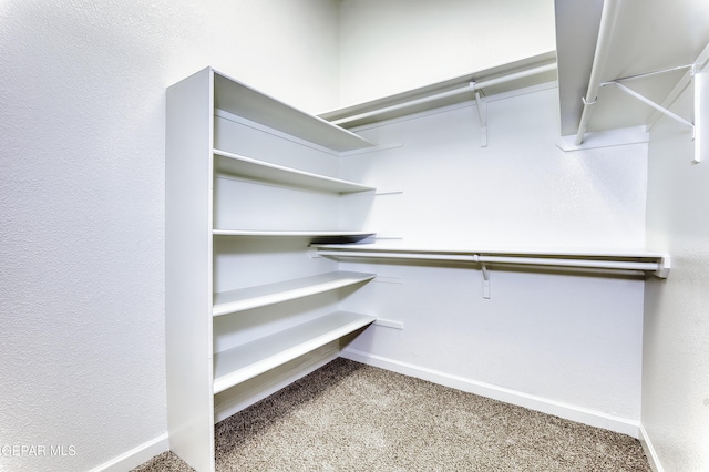 walk in closet with carpet