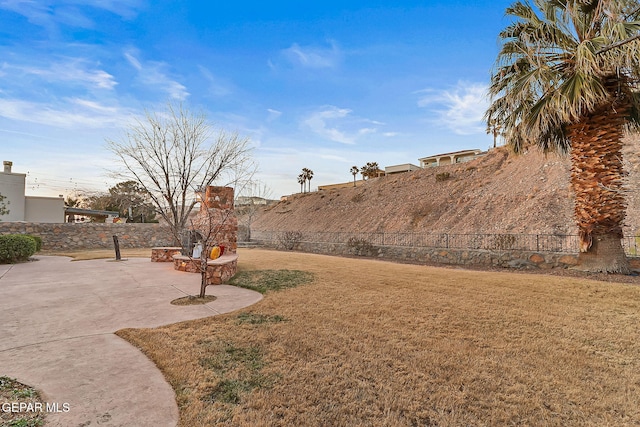 view of yard featuring a patio