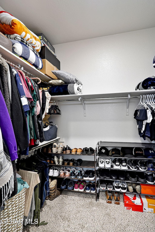 view of spacious closet