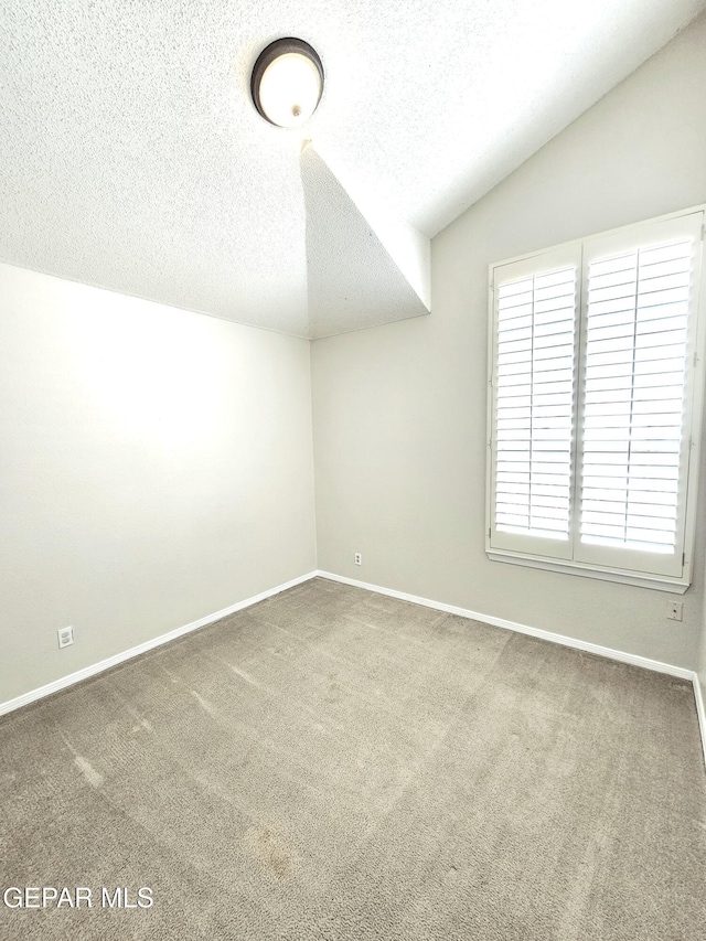 additional living space featuring vaulted ceiling, a textured ceiling, and carpet