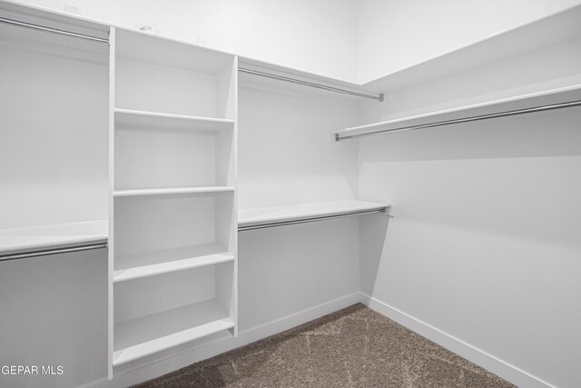 spacious closet with carpet flooring