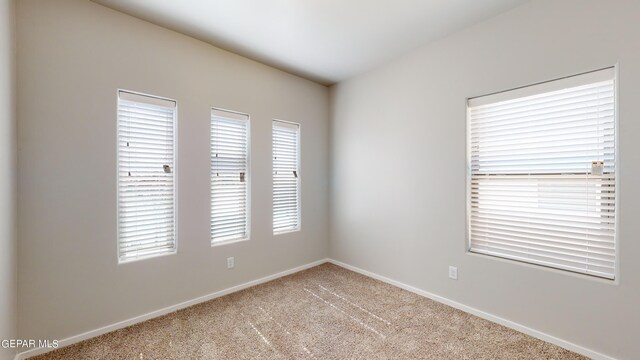 1037 Callie Ct, Socorro, TX 79927