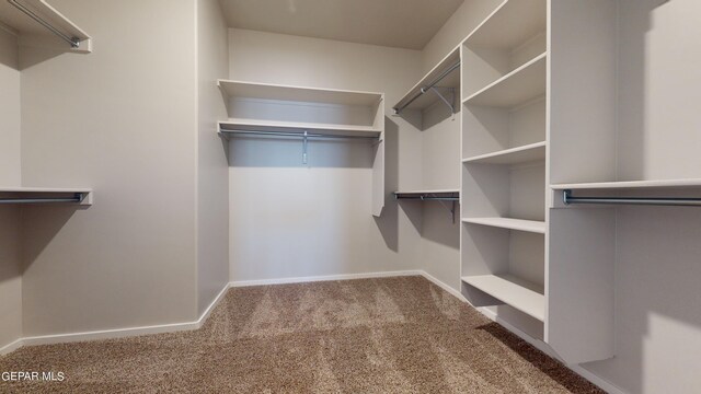 1037 Callie Ct, Socorro, TX 79927