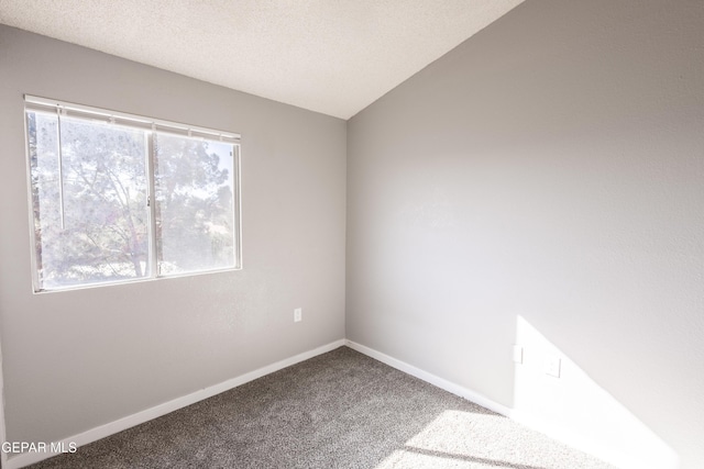 unfurnished room featuring carpet floors, lofted ceiling, and a textured ceiling