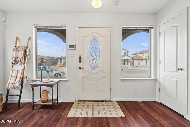 entrance foyer featuring dark hardwood / wood-style floors and a wealth of natural light