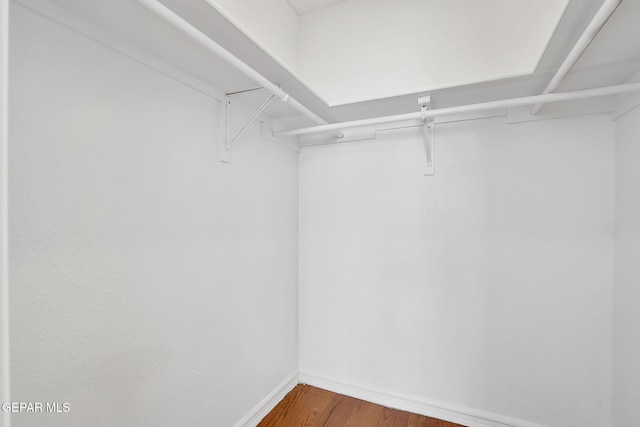 walk in closet featuring wood finished floors