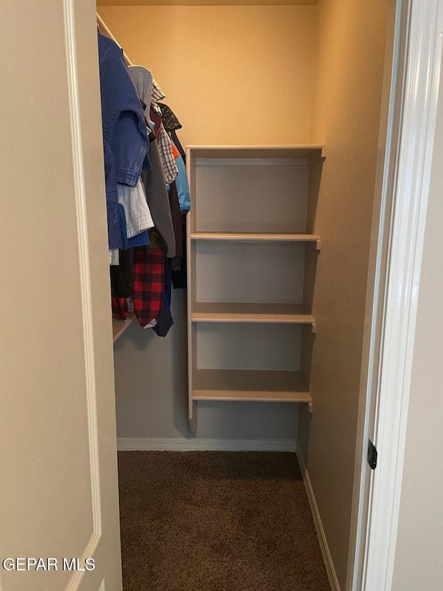 walk in closet with carpet flooring