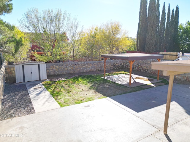 view of yard with a patio and a shed