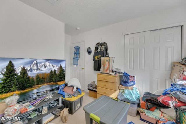 interior space with a textured ceiling and carpet flooring