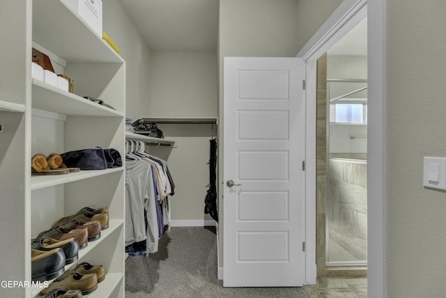 view of walk in closet