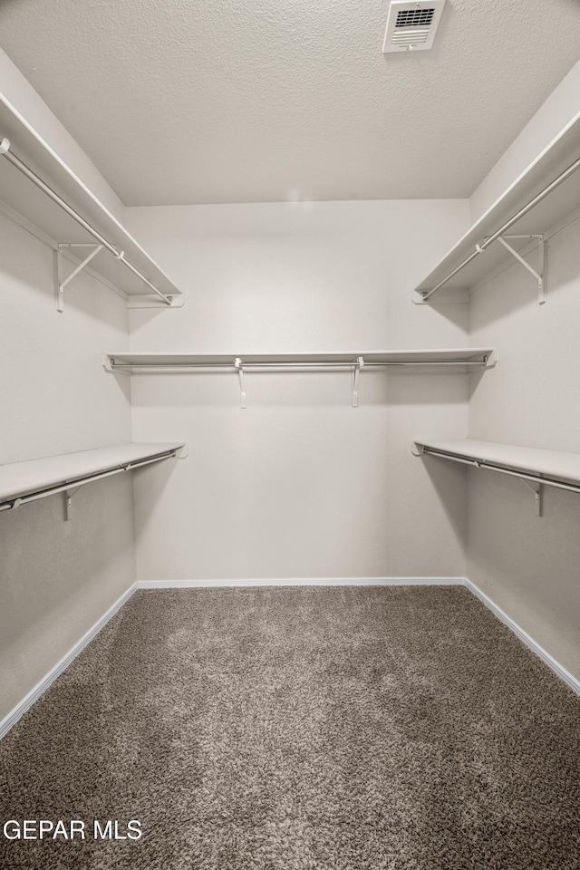 spacious closet featuring carpet flooring