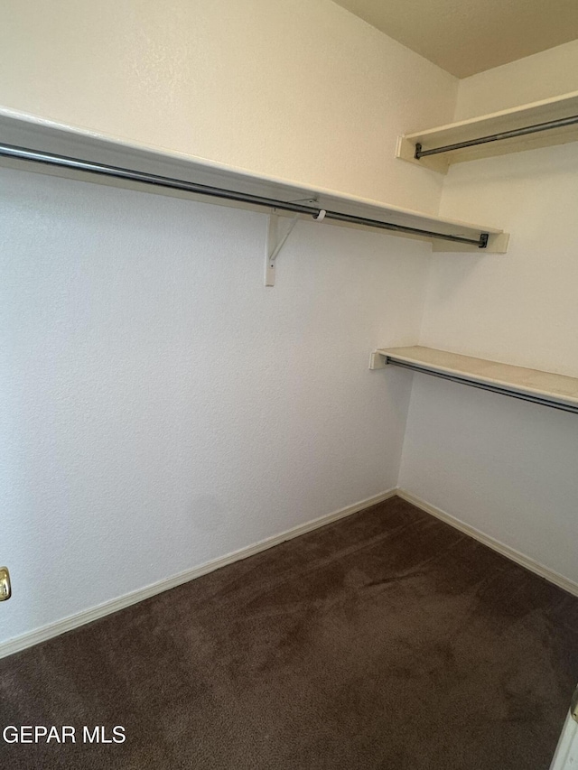 spacious closet with carpet