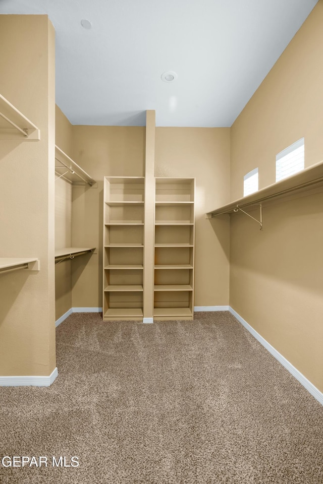 spacious closet with carpet