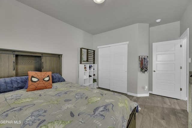 bedroom with a closet and hardwood / wood-style floors