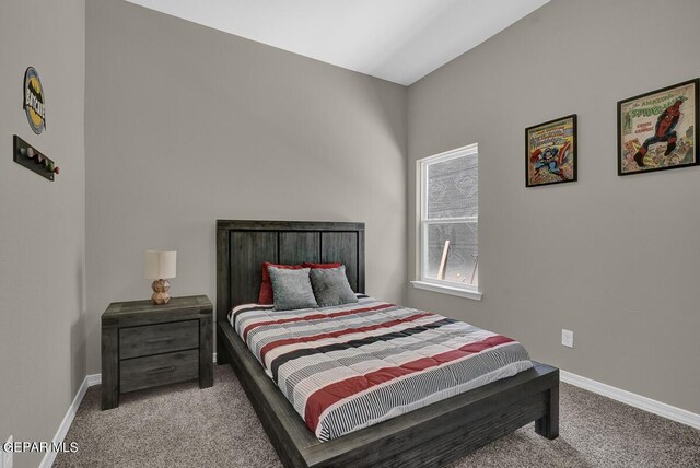 bedroom with carpet flooring