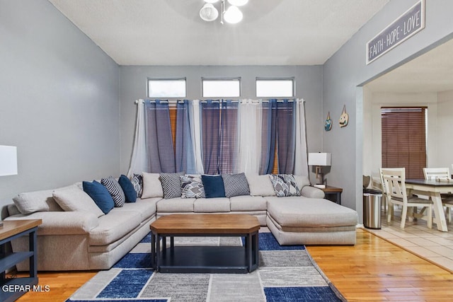 living room with wood-type flooring