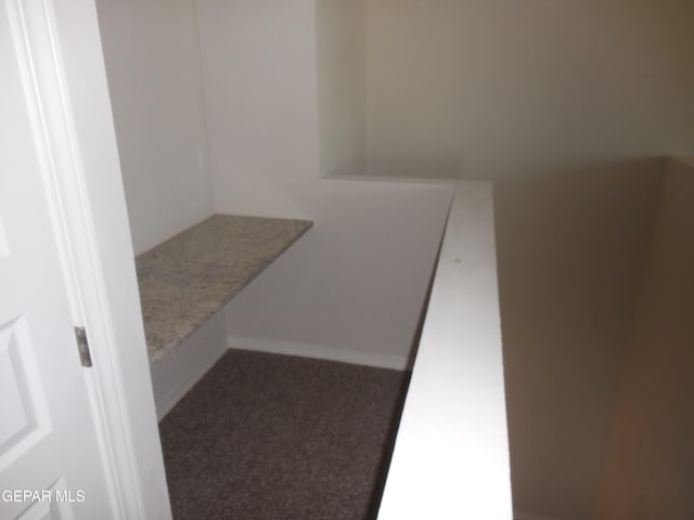 spacious closet featuring carpet floors