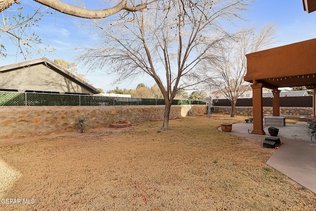 view of yard with a patio area and a fenced backyard