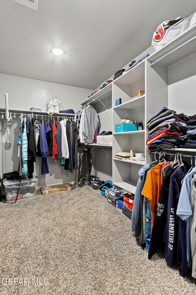 view of spacious closet