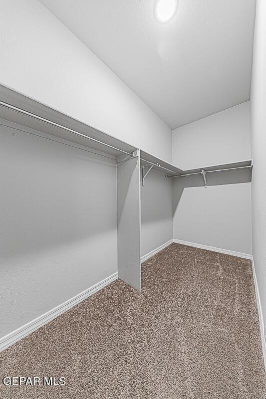 spacious closet with carpet