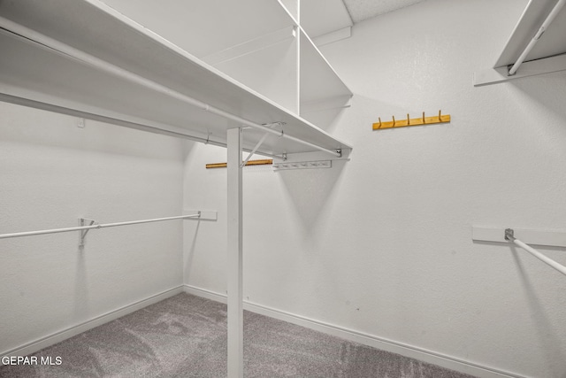 425 Golden Springs Dr, El Paso, TX 79912 - walk in closet with carpet floors