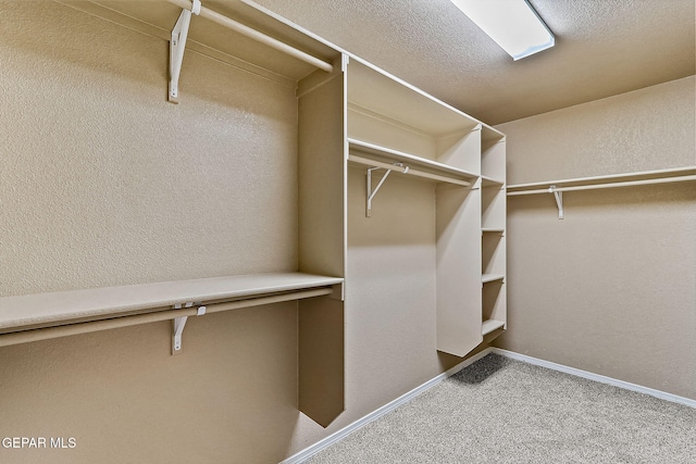 spacious closet featuring carpet flooring