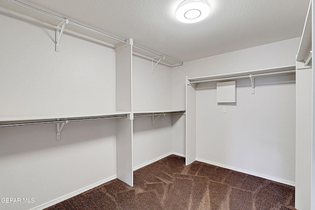 walk in closet featuring dark colored carpet