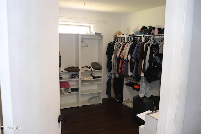 spacious closet with dark wood-style flooring