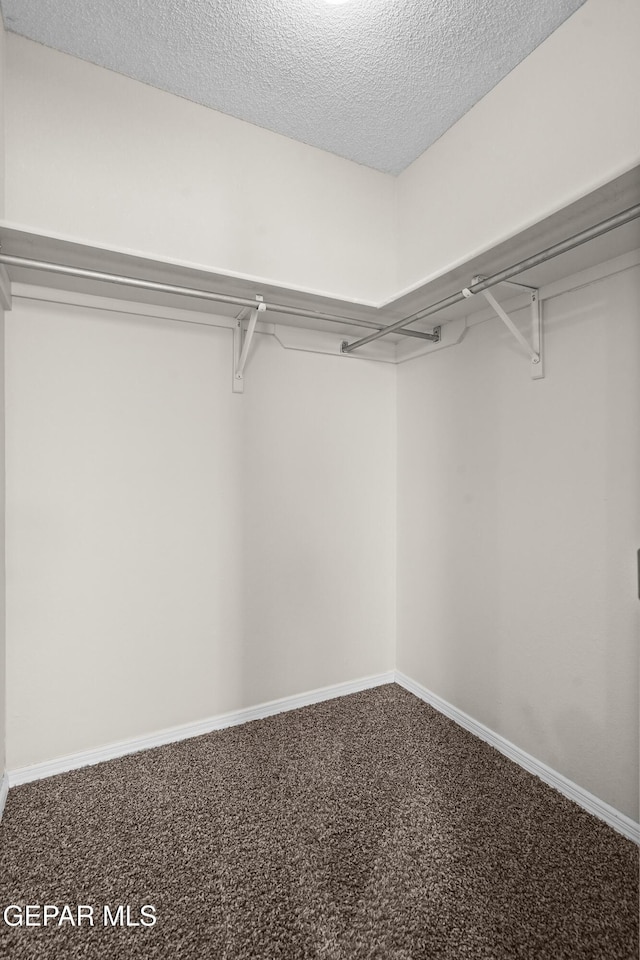 walk in closet featuring carpet