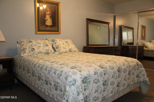 bedroom with carpet floors and a closet