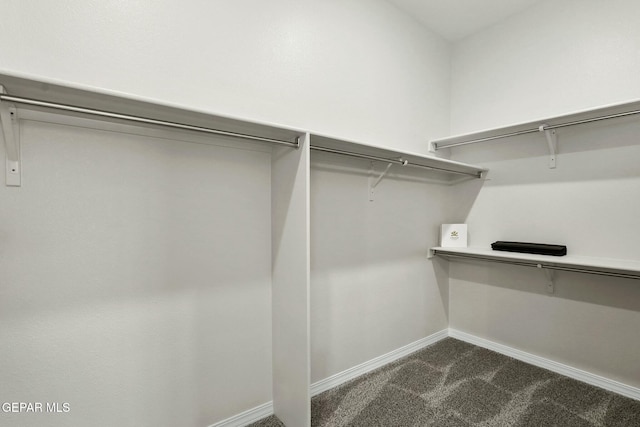 spacious closet with attic access and dark colored carpet