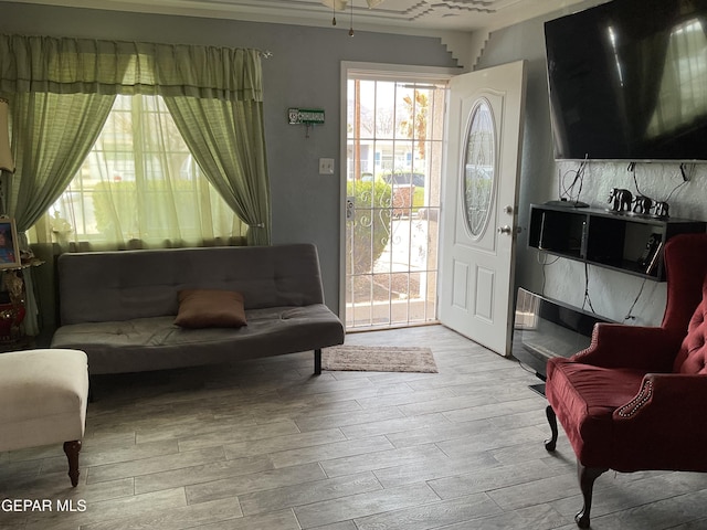 living area featuring light wood-style flooring