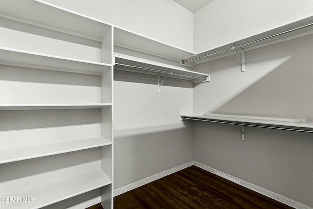 walk in closet with dark wood-style floors