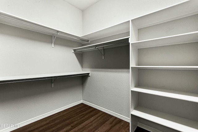 walk in closet featuring wood finished floors