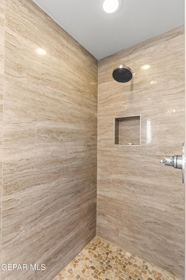 full bathroom with tiled shower