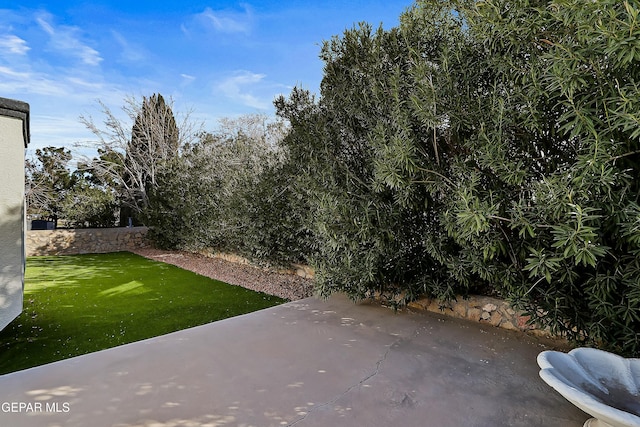 view of yard featuring a patio area