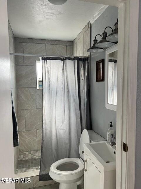 full bath featuring toilet, a shower stall, and vanity