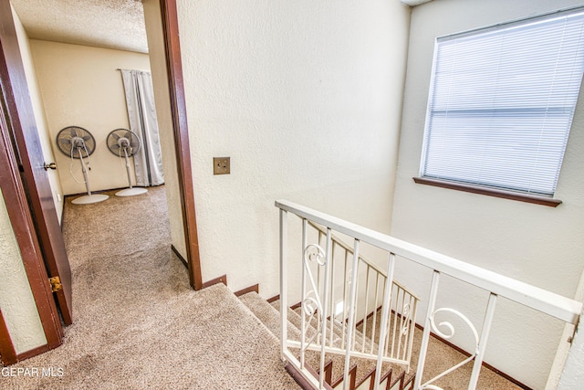 hallway featuring plenty of natural light, a textured ceiling, carpet flooring, and a textured wall