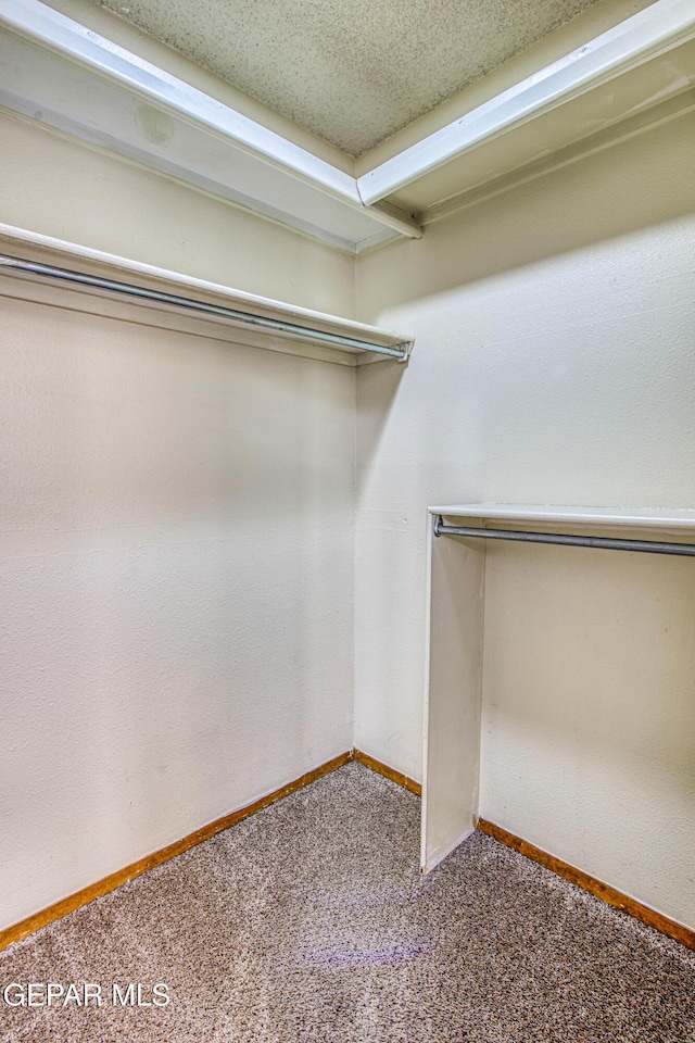 walk in closet featuring carpet floors