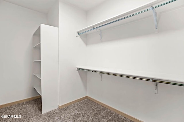 spacious closet with light carpet