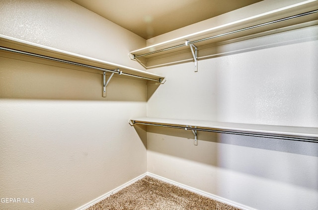 spacious closet featuring carpet floors