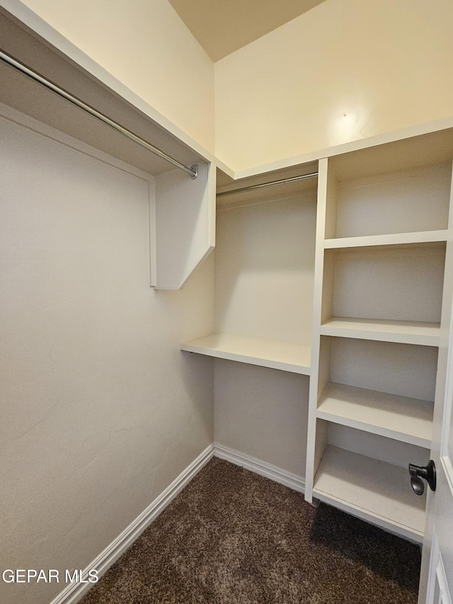 spacious closet with dark colored carpet