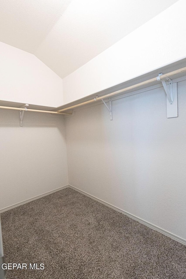 walk in closet with vaulted ceiling and carpet floors