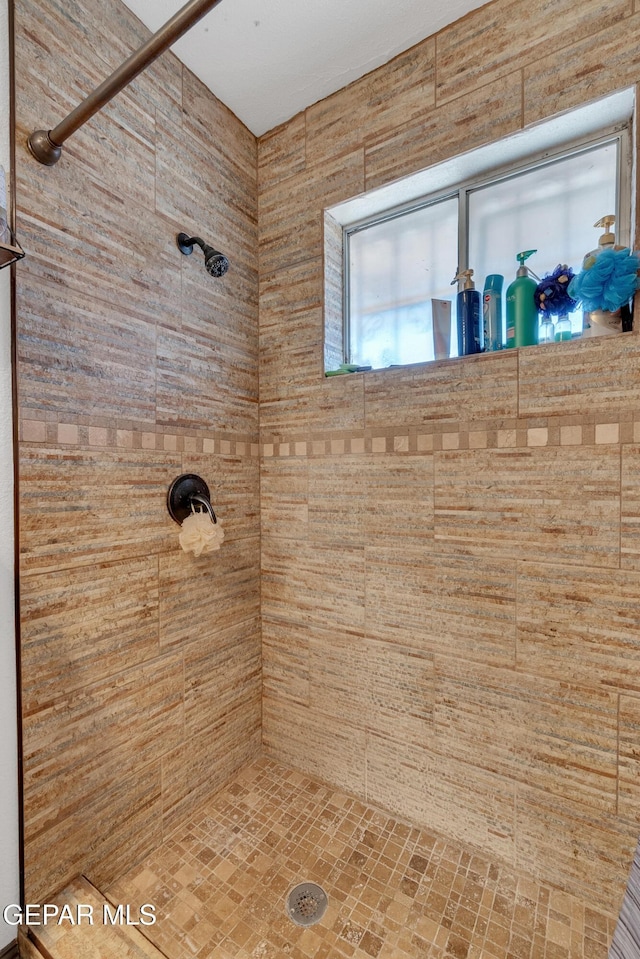 full bathroom with a tile shower