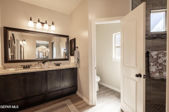 bathroom featuring toilet, wood finished floors, a sink, baseboards, and double vanity