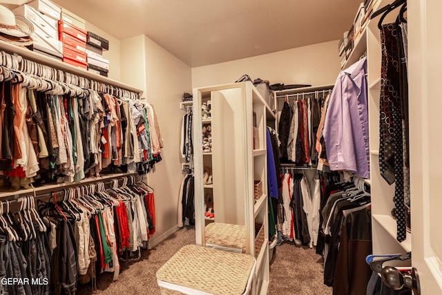 walk in closet featuring carpet flooring