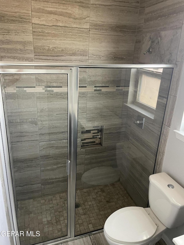 bathroom with a stall shower and toilet